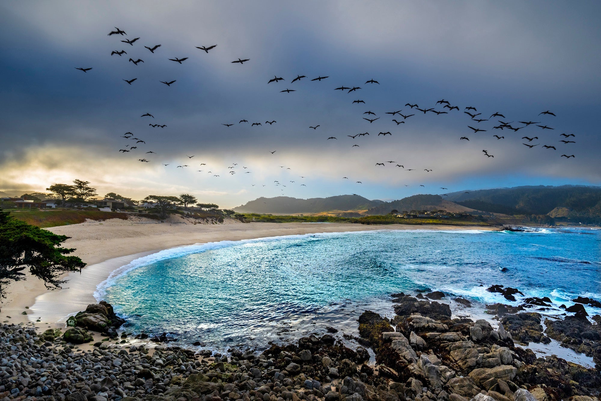 Carmel River Reserve