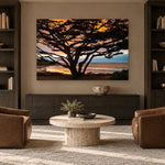 Cypress Tree Sunset by Aaron Chang, shown in a library