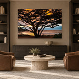 Cypress Tree Sunset by Aaron Chang, shown in a library