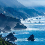 Jagged Coast