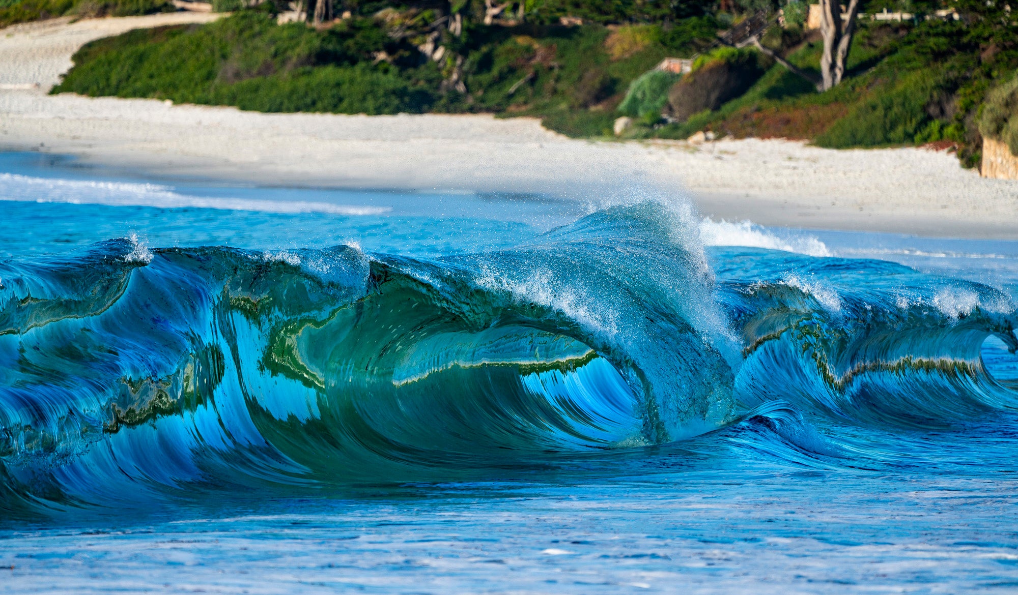 Pacific Green