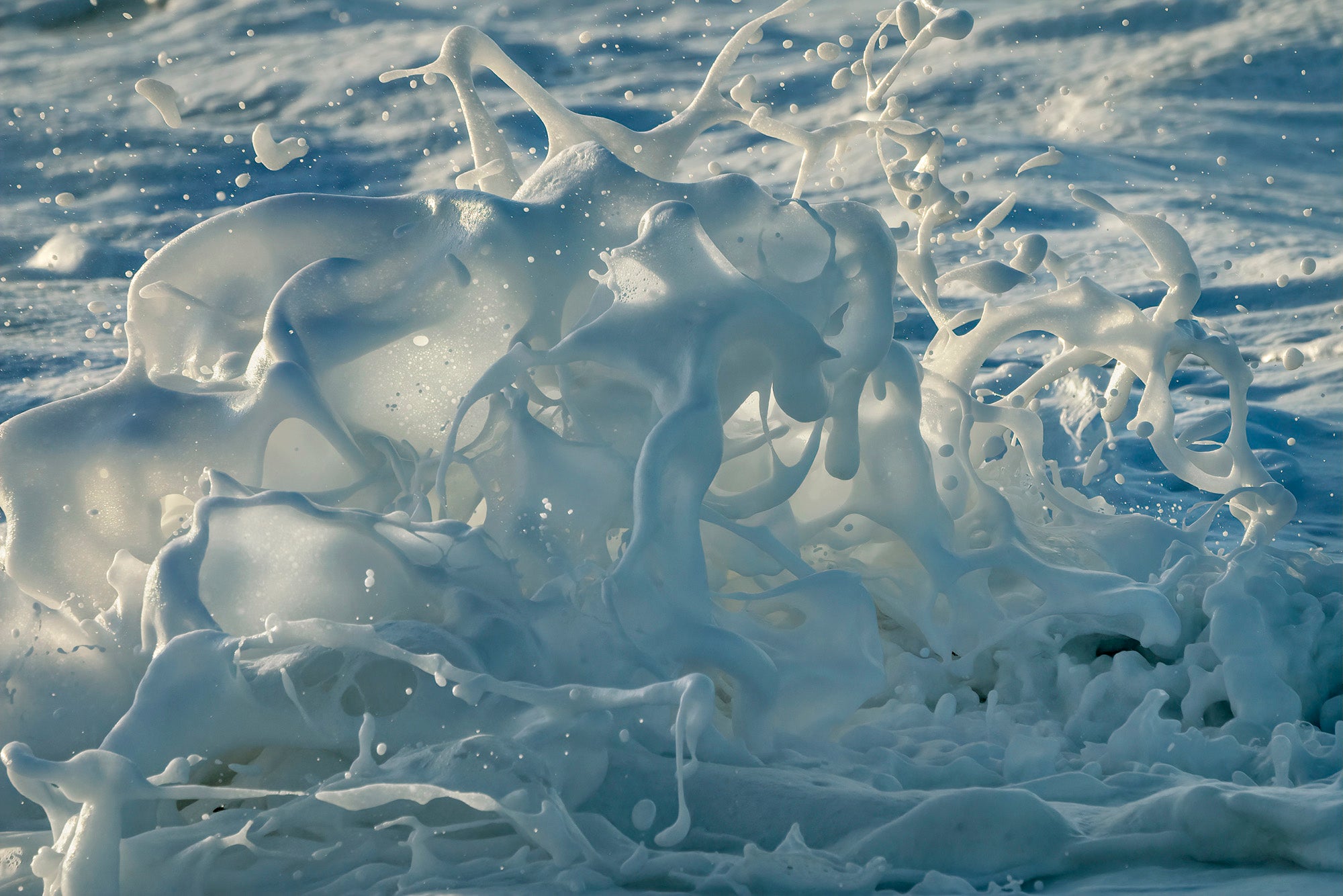 White Water Horses
