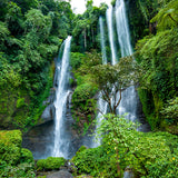 Bali Waterfall