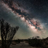 Anza-Borrego Milky Way