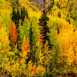 Embers – fine art photograph by Aaron Chang