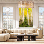 Evergreen by Aaron Chang, shown in a Parisian living room