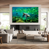 Ocean Harmony