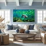 Ocean Harmony