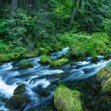 Living Waters