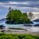 Tofino