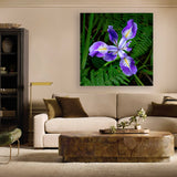 Wild Orchid