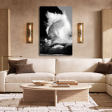 Nautilus / Last Limited Editions