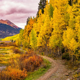 Red Mountain Gold – fine art photograph by Aaron Chang
