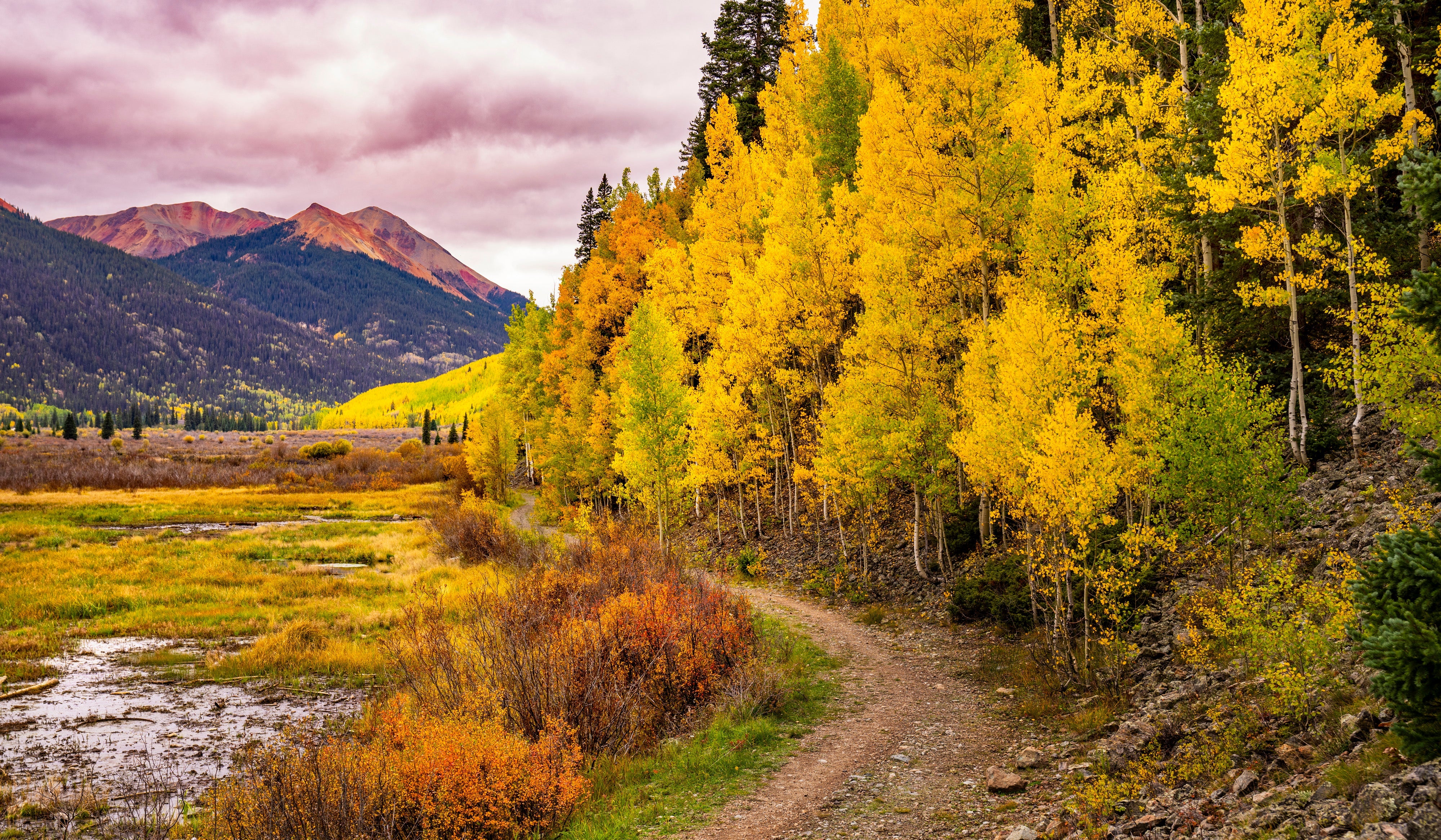 Red Mountain Gold – fine art photograph by Aaron Chang