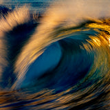 Golden Embers