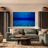 The Shallows