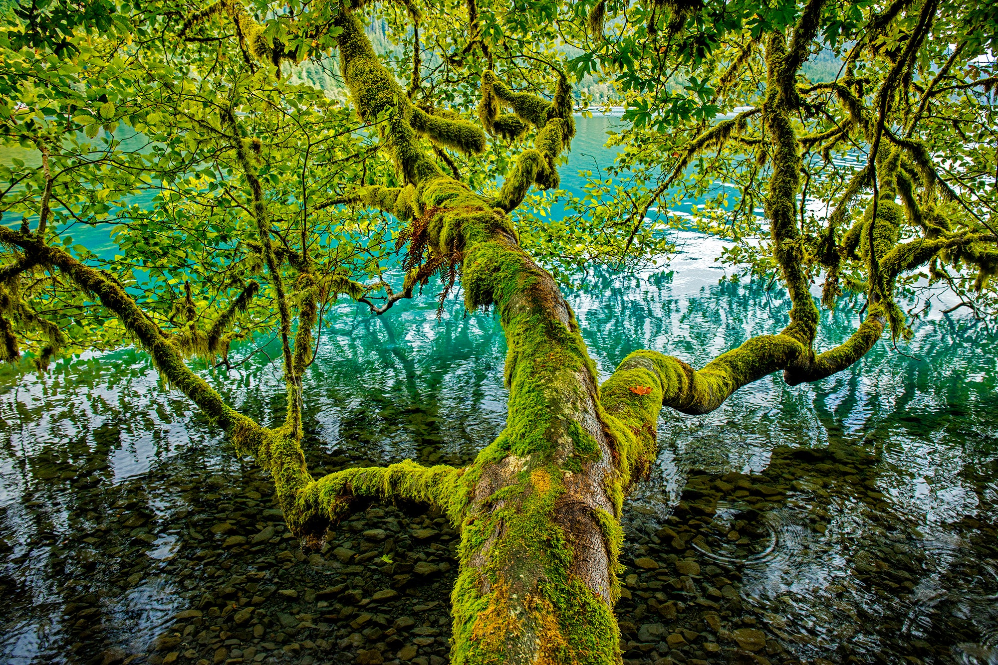 Ocean Fine Art Photography Aaron Chang Gallery