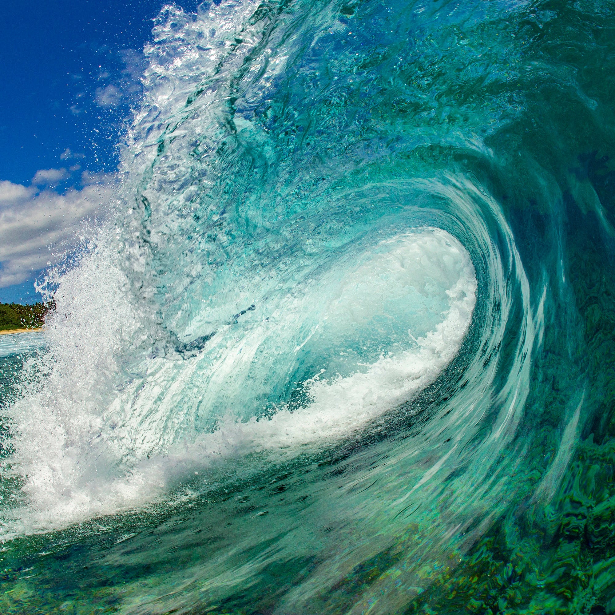 Tropical Reef