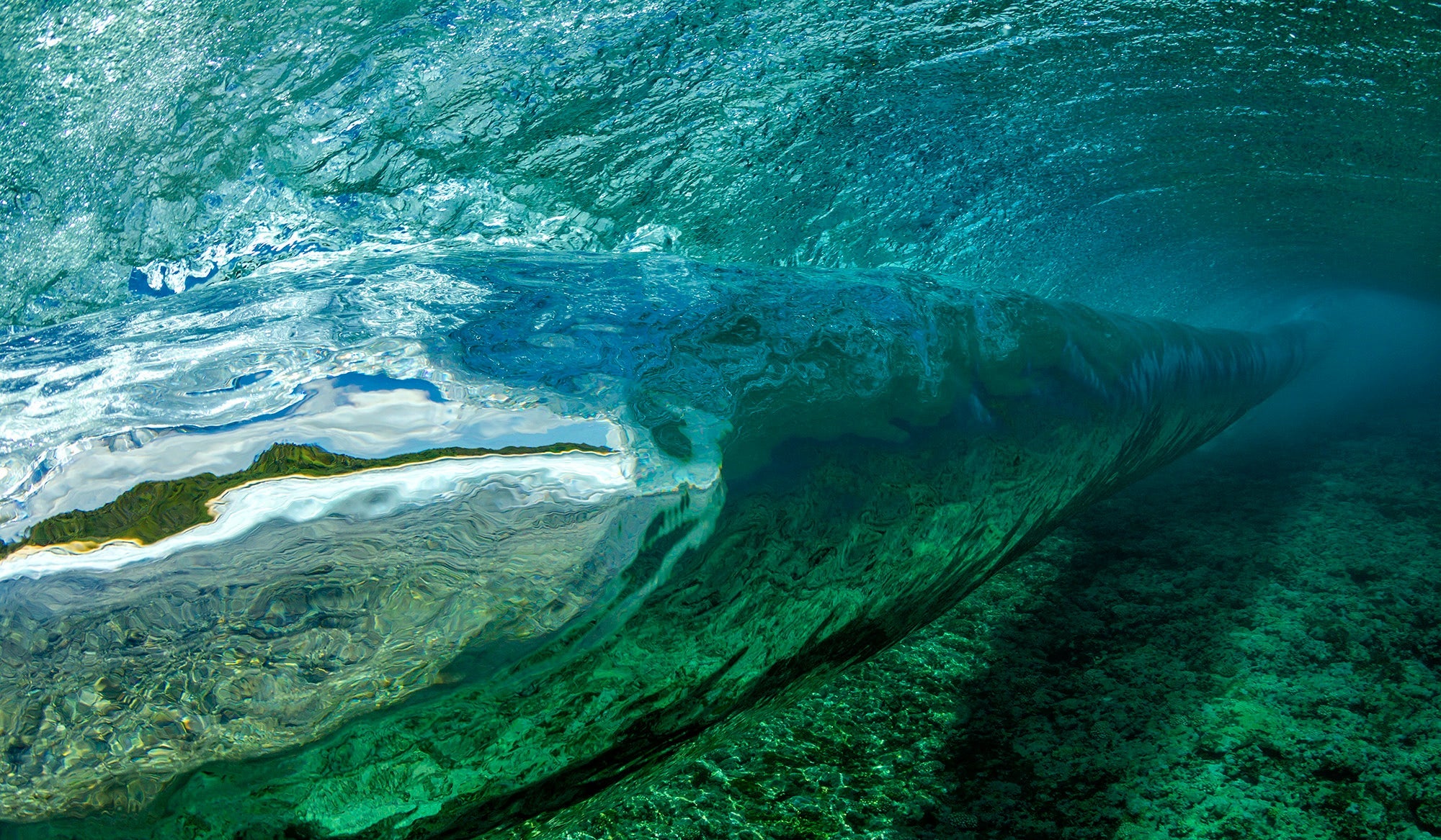 Secret Reef