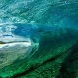 Secret Reef