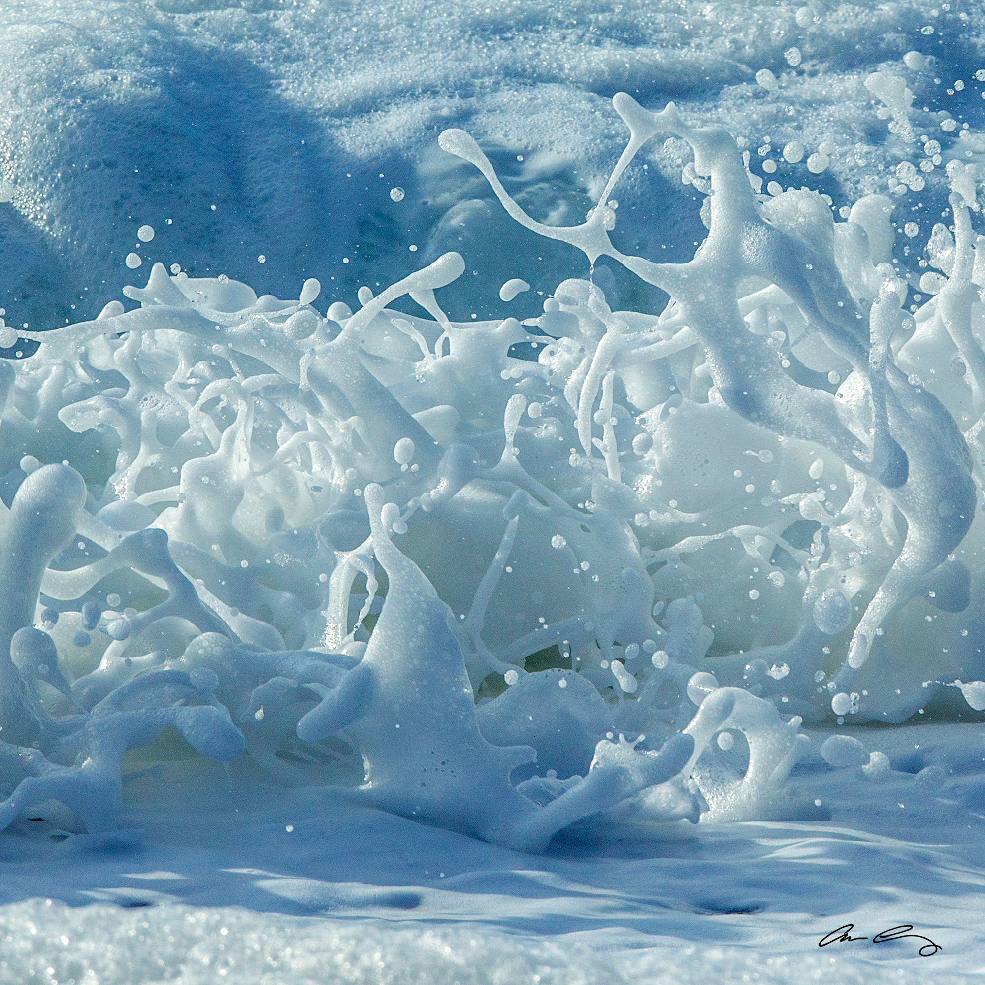Sea Splash