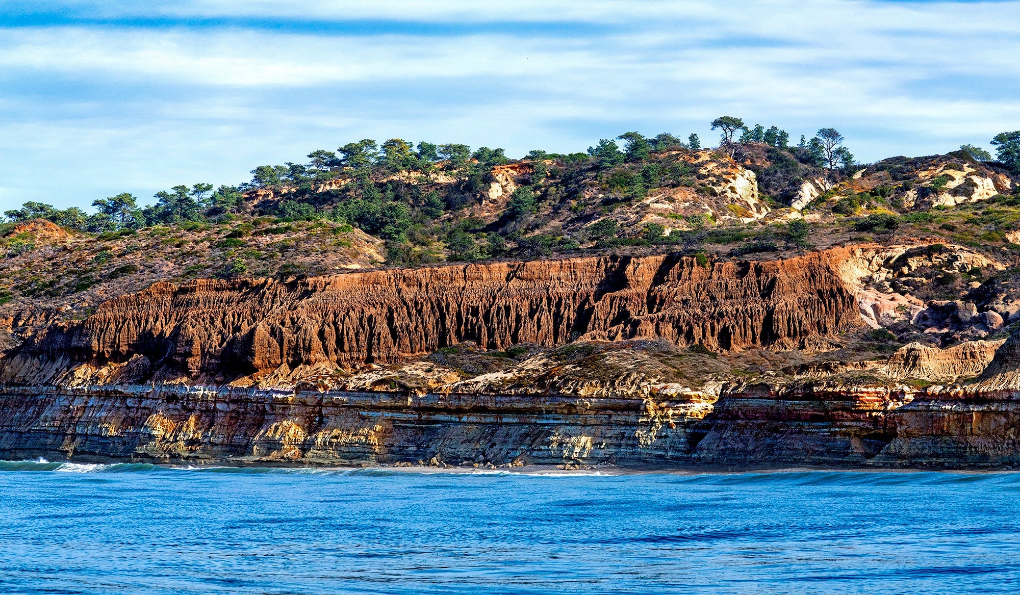 Torrey Pines Bluff
