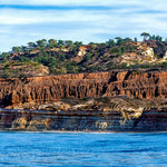 Torrey Pines Bluff