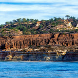 Torrey Pines Bluff