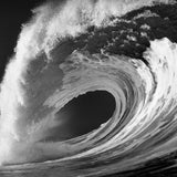 Bonzai Pipeline