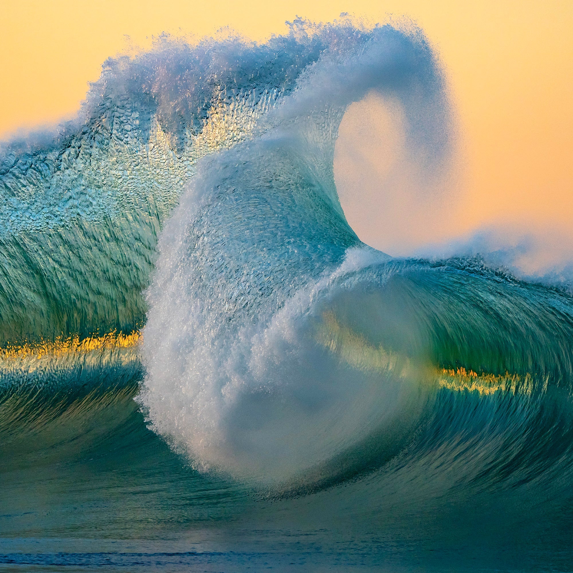 Ocean Dance