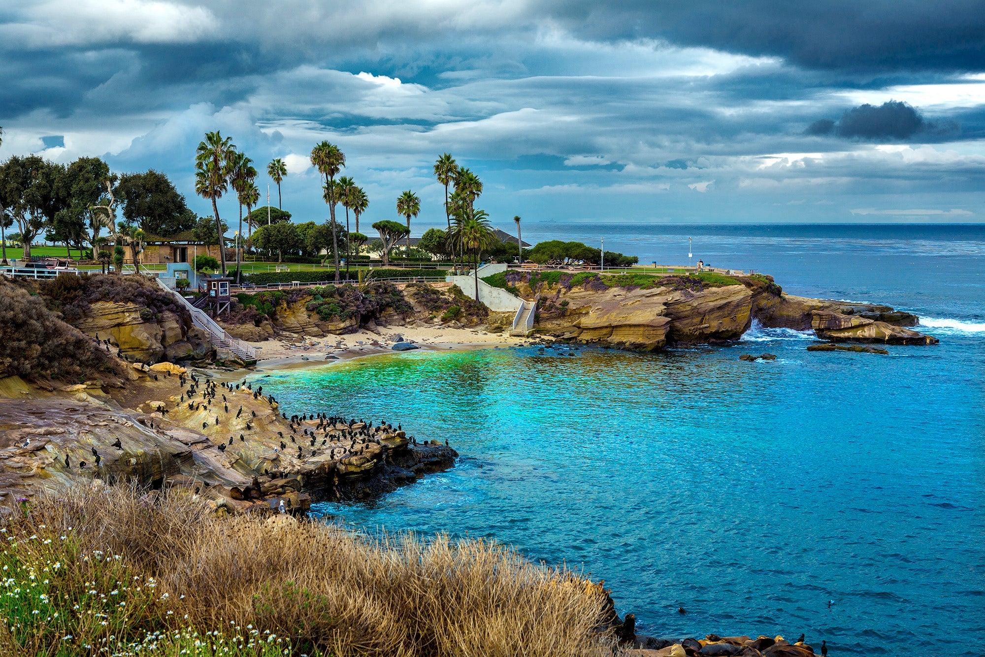 La Jolla Cove