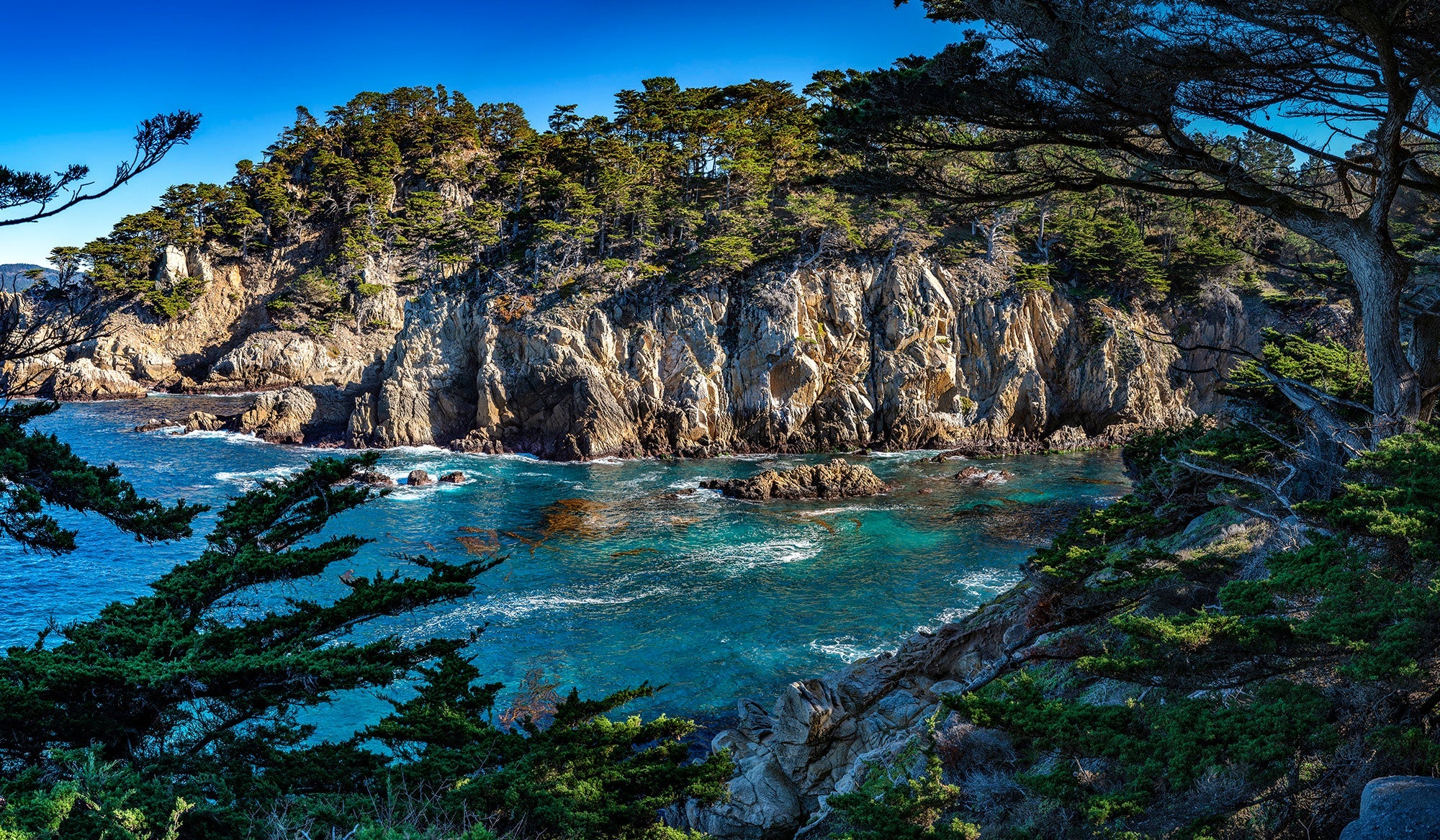 Cypress Cove