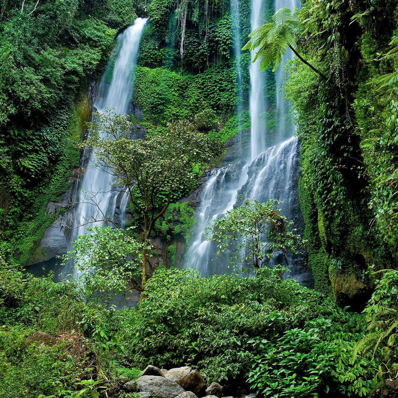 Bali Waterfall