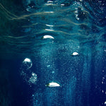 Tonga Bubbles