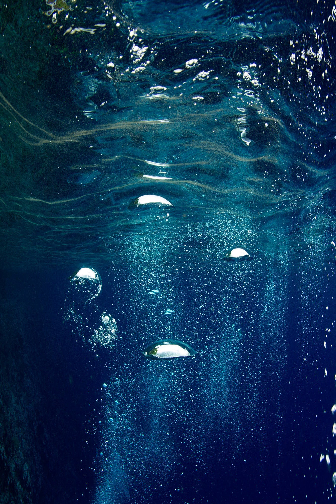 Tonga Bubbles