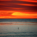 Solace
