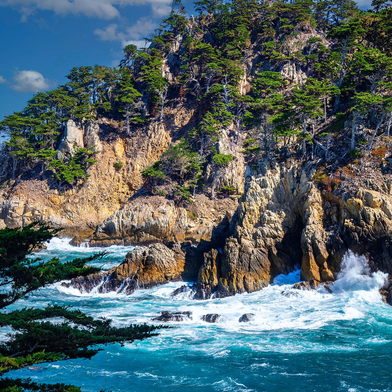 Cypress Cove Vertical