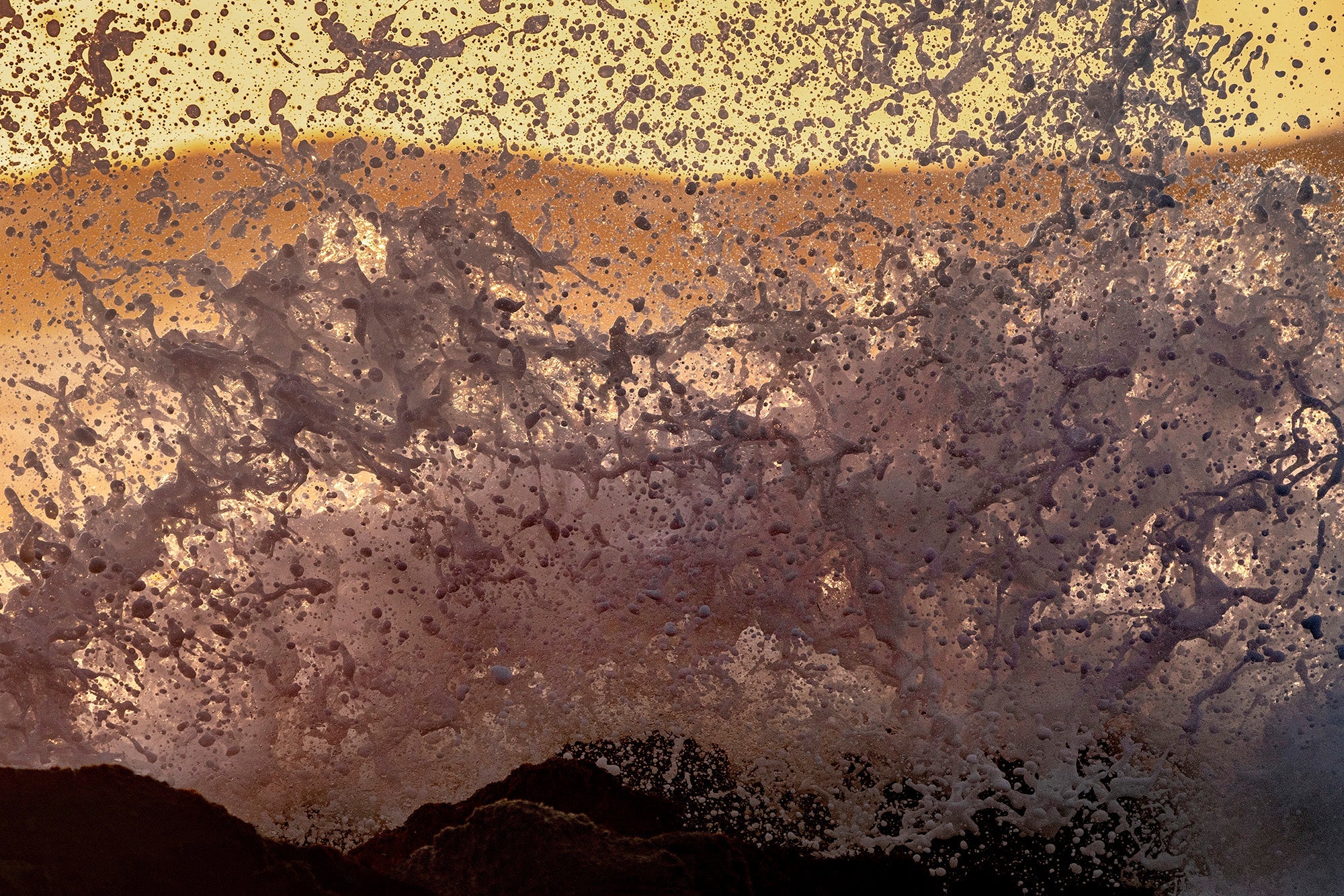 Salt Water Rhapsody