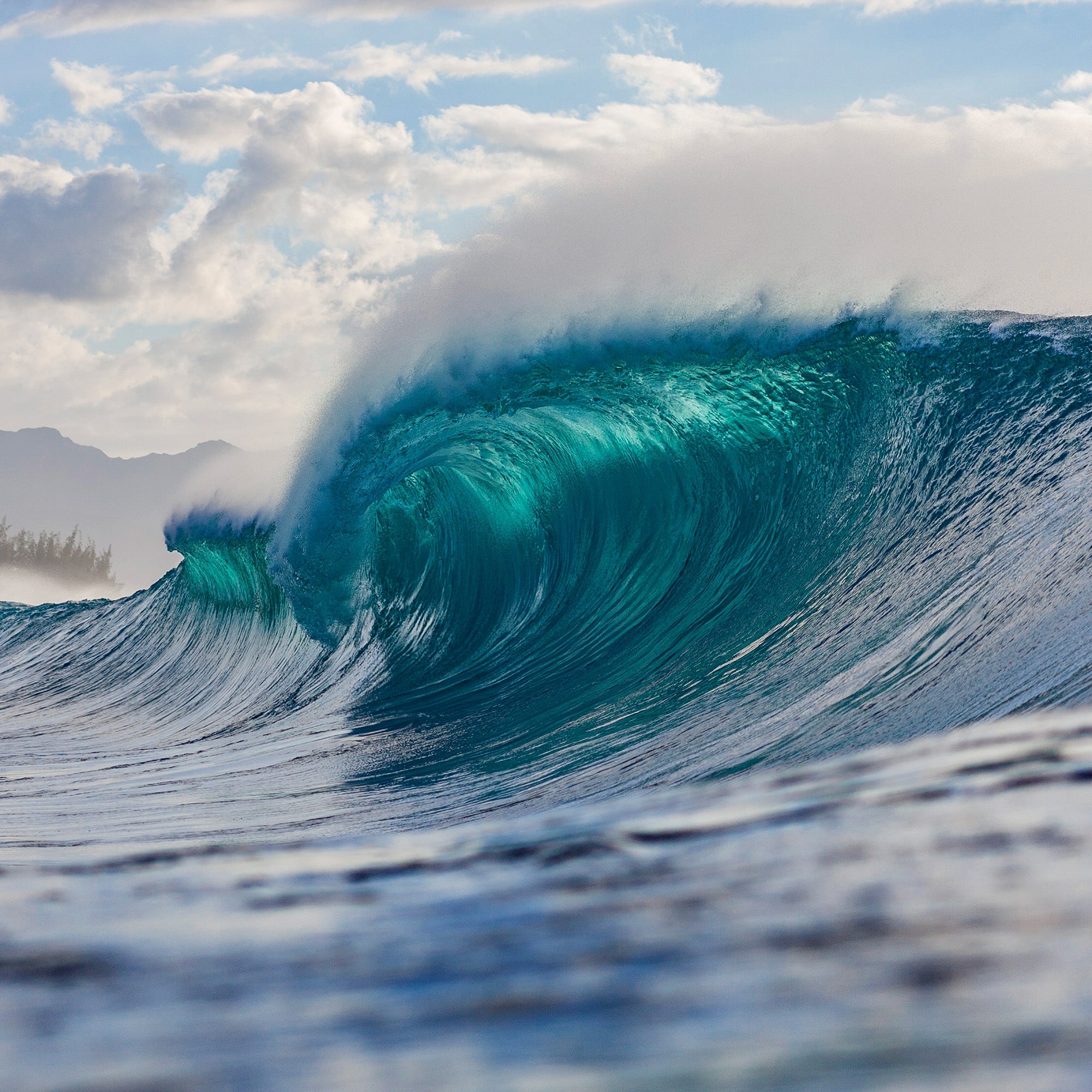Surfer's Dream