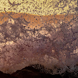 Salt Water Rhapsody