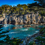 Cypress Cove