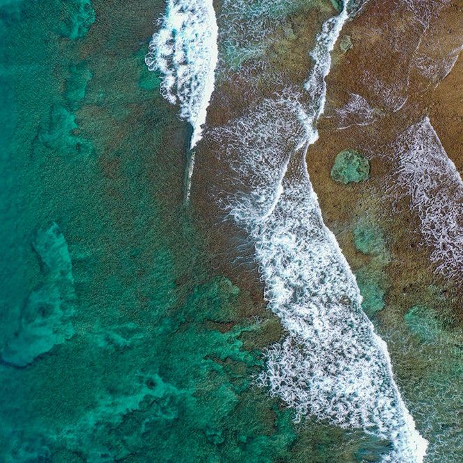 Paradise Reef