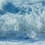 Sea Splash
