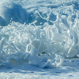 Sea Splash