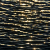 Sparkles