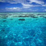 Tahiti Water