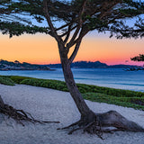 Sunrise South Beach