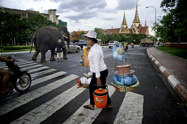 The ordinary in Cambodia includes elephants walking down a busy city street.