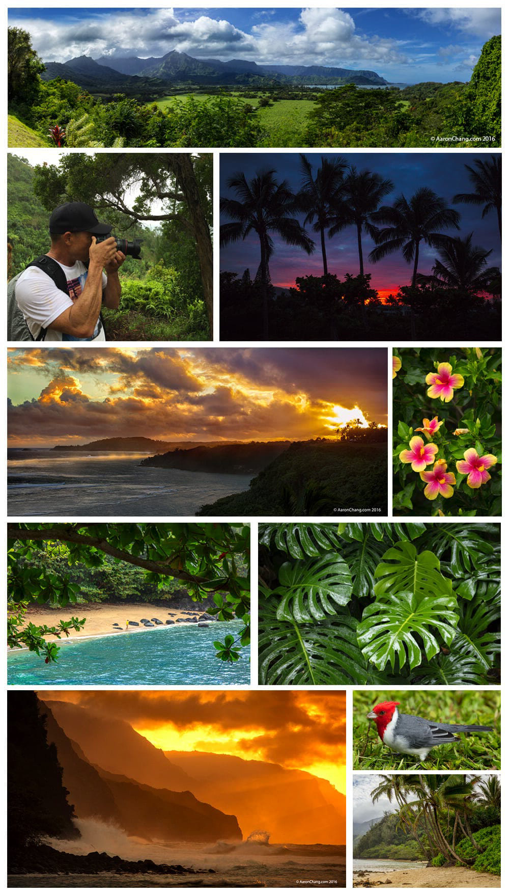 kauai-collage-1k_update